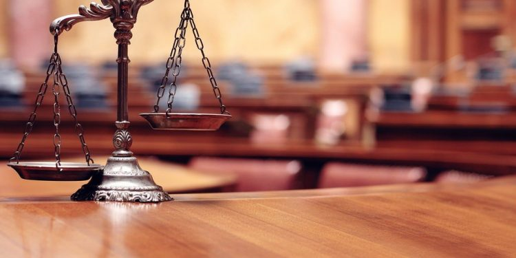 Bertha Rose Legal Team
